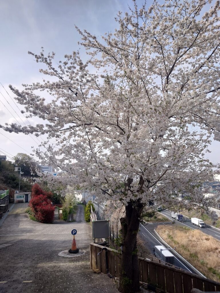 アニマルパークペット霊園の写真