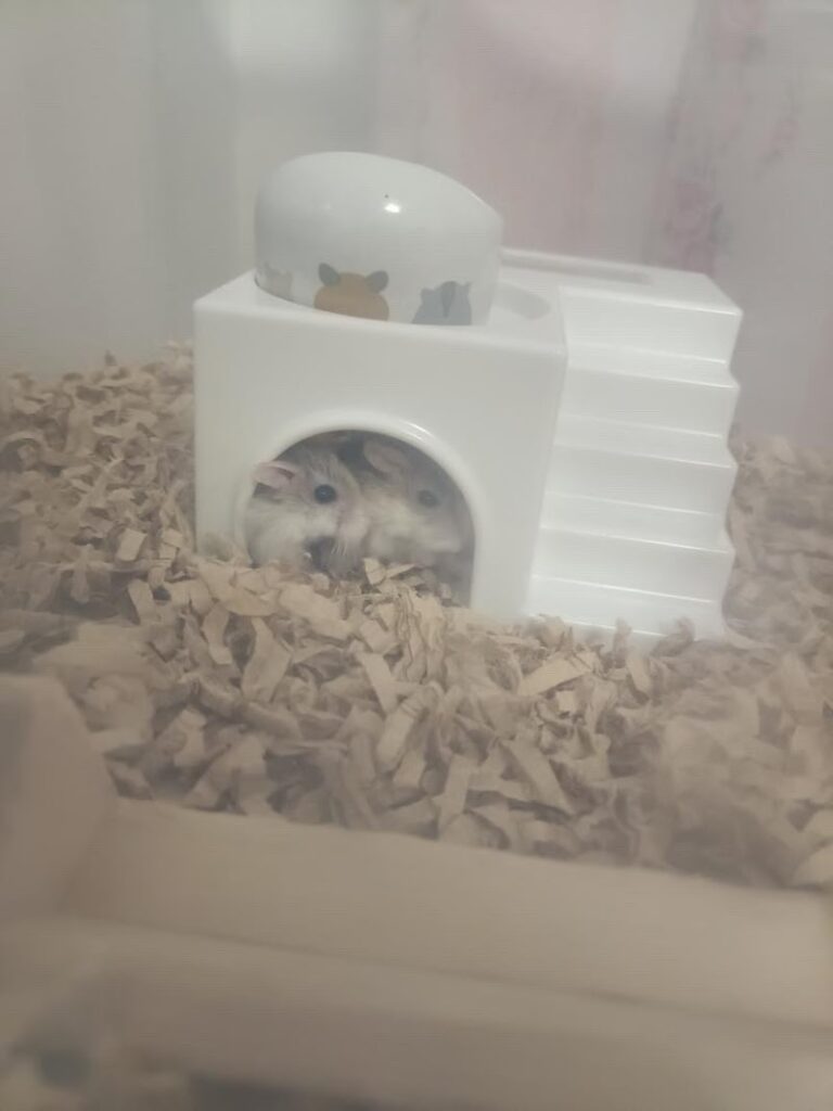 名古屋ペット葬儀社の写真