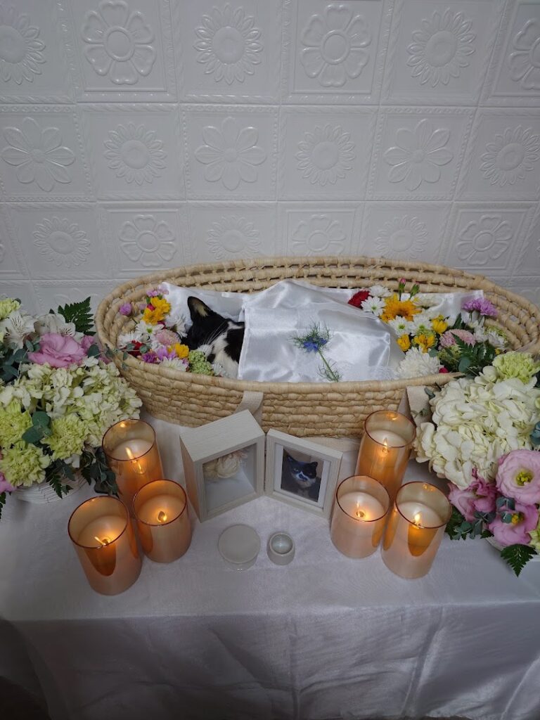 ペット火葬・自宅葬のPAWS MEMORY（パウズメモリー）の写真
