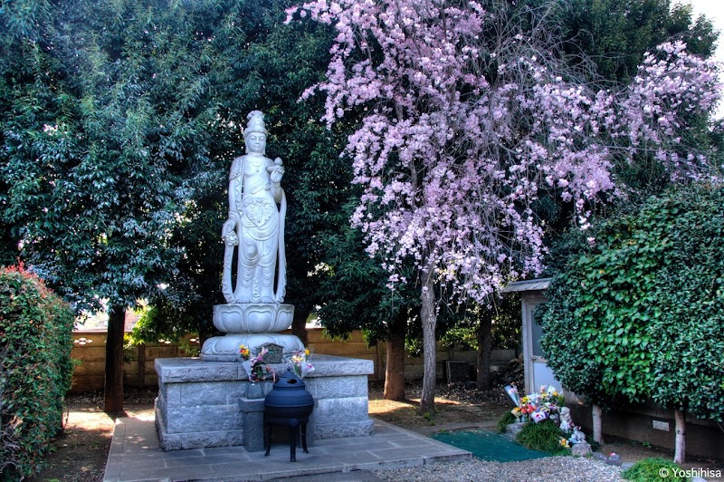 大泉寺の写真