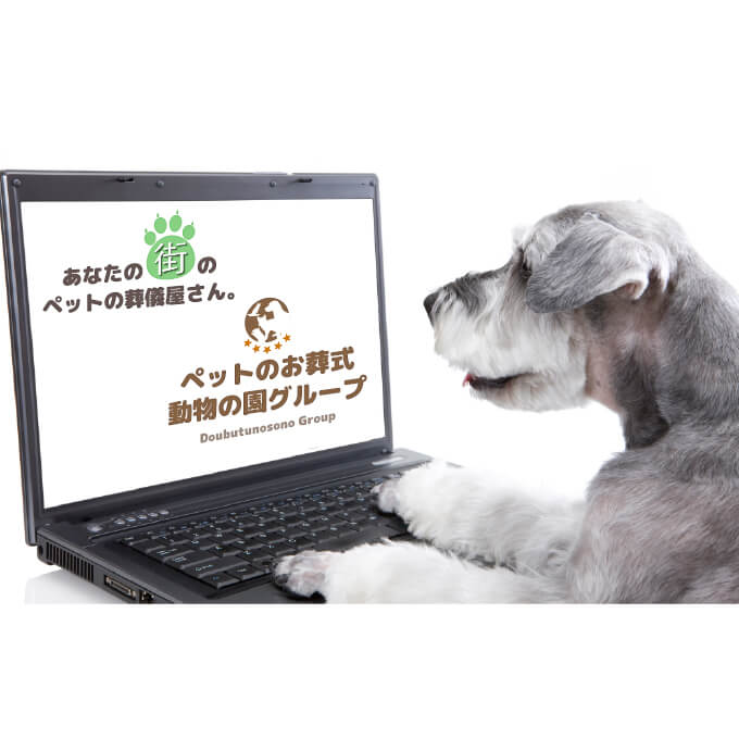 動物の園グループ 東京中央の写真