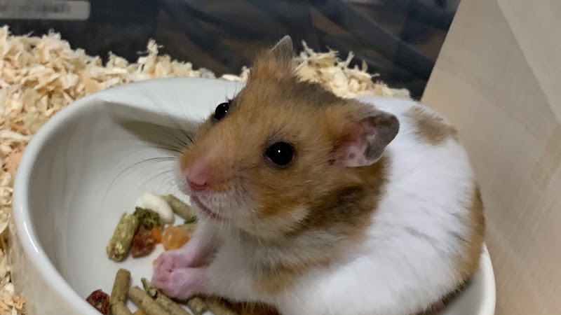 ペット火葬ハピネス埼玉の写真