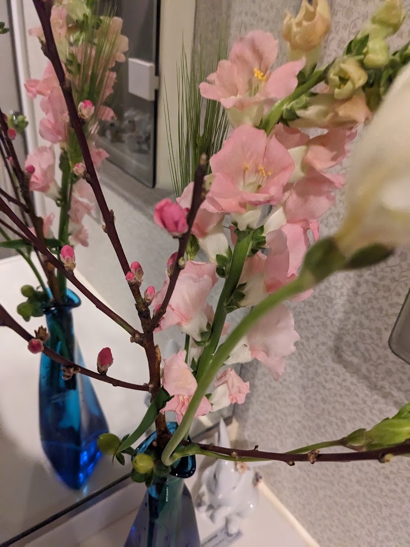 にじのはしペット火葬の写真