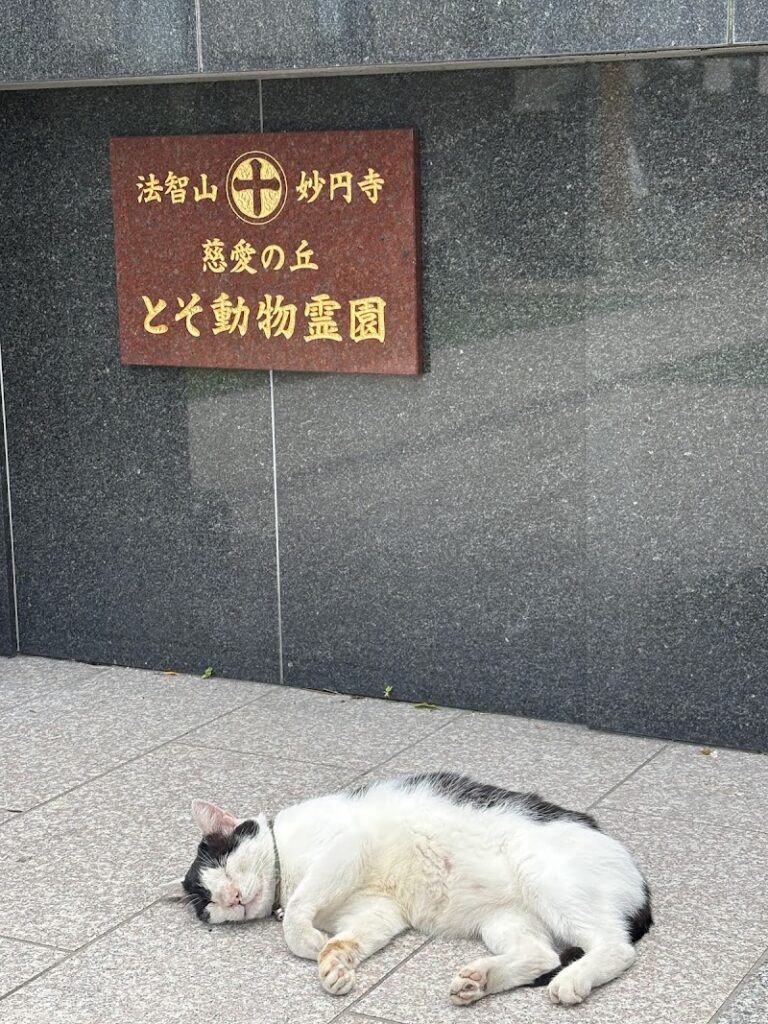 慈愛の丘 とそ動物霊園の写真