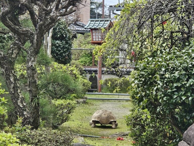 夢の郷動物霊園の写真