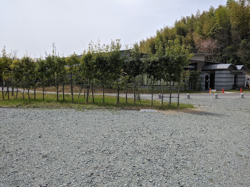 いつくしみの杜の写真