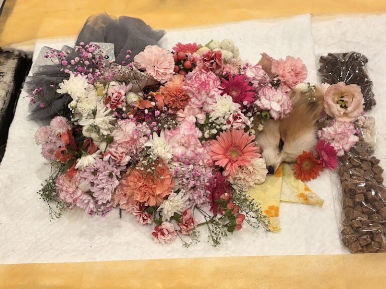 ペットライフサポート那珂川ホールの写真