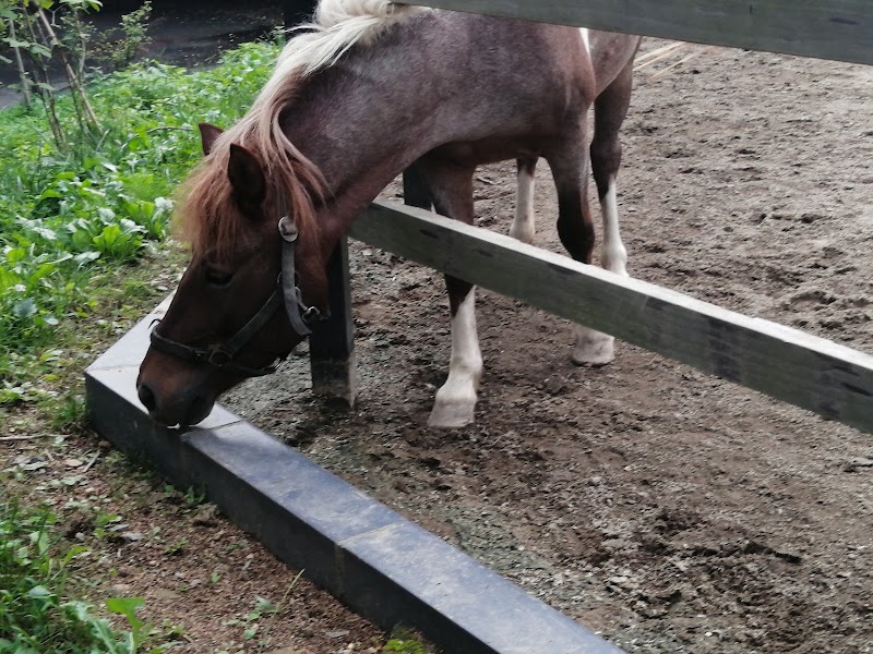 盛岡動物霊園の写真