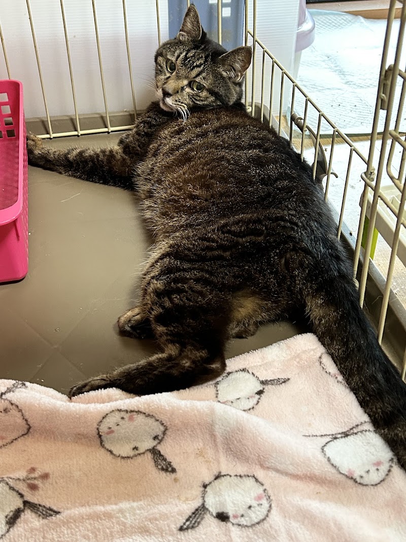 ペット火葬ハピネス名古屋の写真