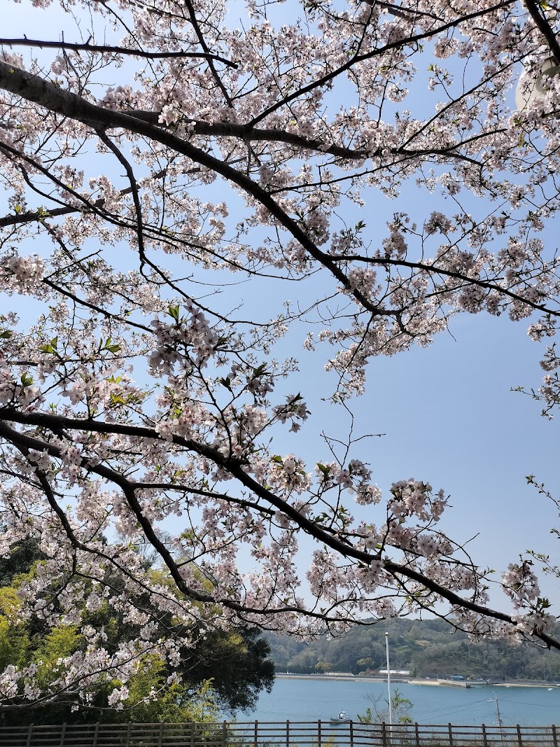 ペット訪問セレモニー福山の写真