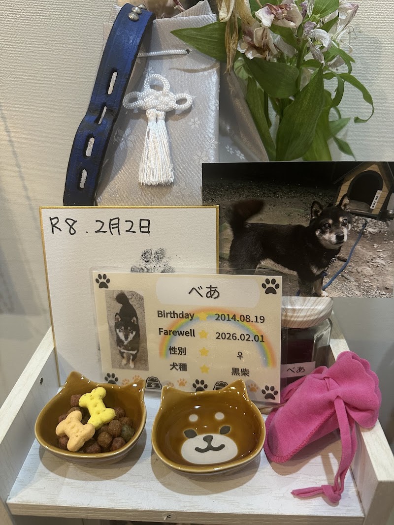 訪問ペット火葬 ハピネスベル【山梨】の写真