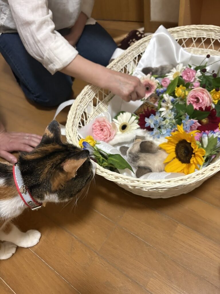 久留米・鳥栖 ペット火葬ハリーズの写真