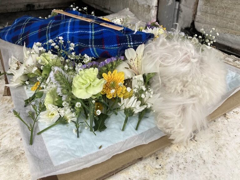 天国への扉 ペットメモリアル札幌の写真