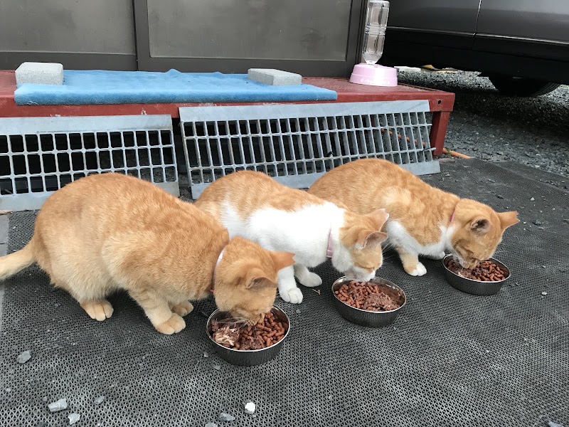 山の上のベルナペットセレモニーの写真