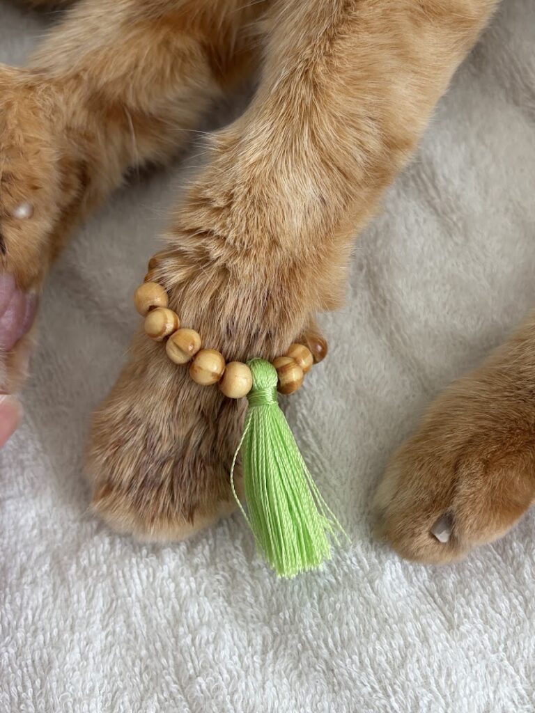 ペット火葬ペット葬儀ジャパン動物メモリアル社 東京本社の写真