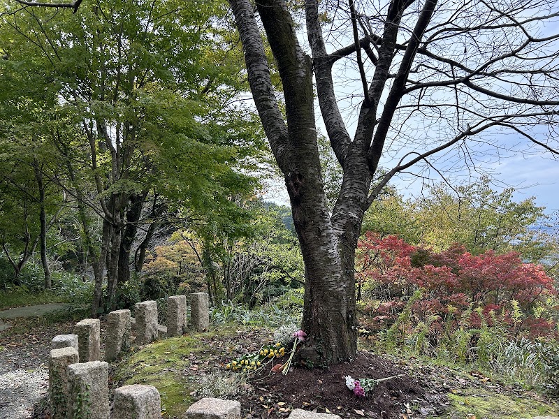 にじの花 ペットのお見送り･樹木葬の写真