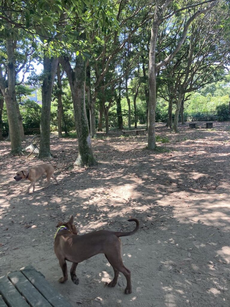ペットメモリアルあさひの写真