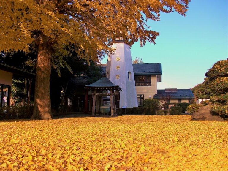 白峯寺動物愛護の会の写真