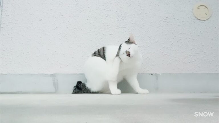 エンジェルロードの写真