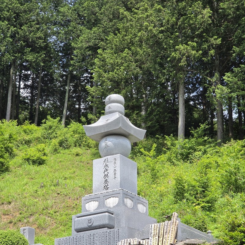 無量寺の写真