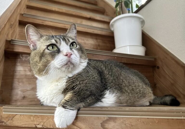 ペット火葬ハピネス横浜の写真