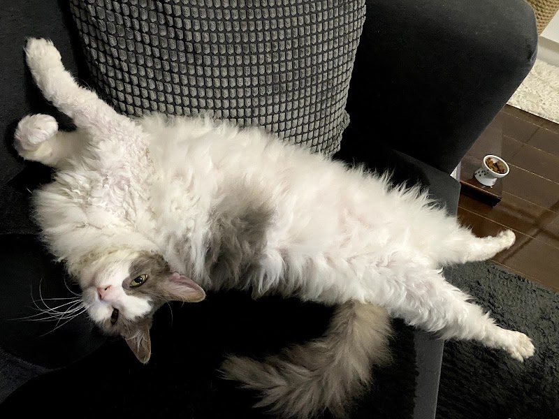 ペット火葬ハピネス横浜の写真