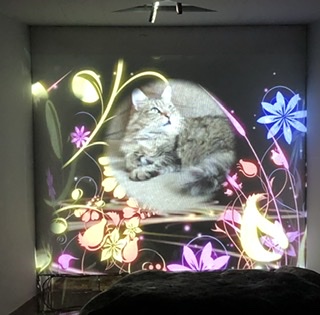 成田山水上寺ペット霊園の写真