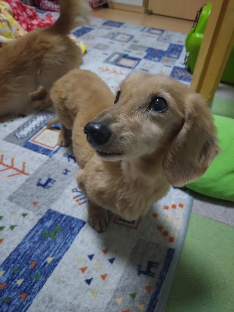 ペット葬儀うたたね関東／千葉営業所の写真