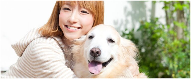 ペットセレモニー忘れな草の写真