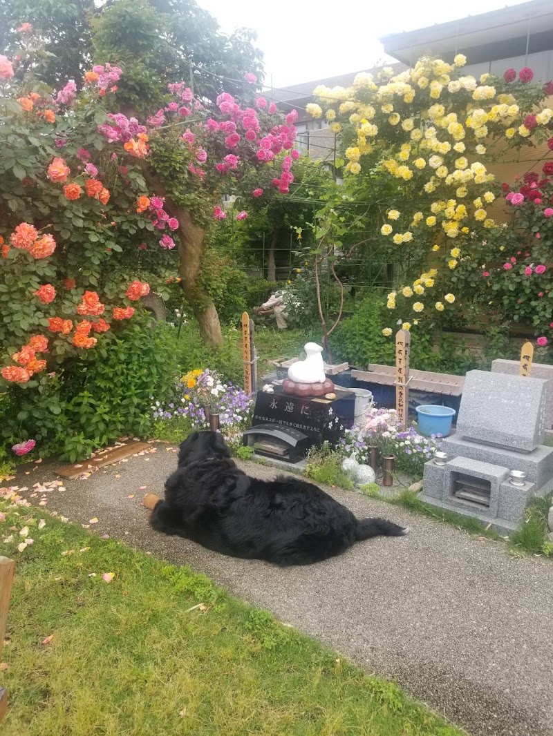 観蔵院ペット霊園ニルバーナの写真