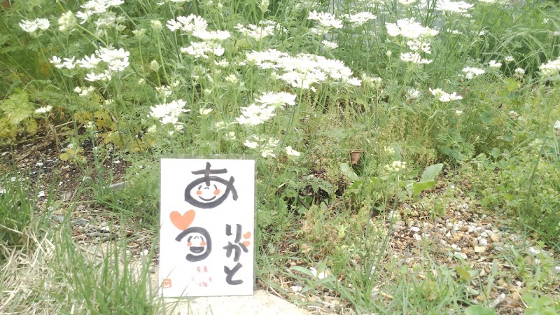 ペット火葬 やすらぎのあしあとの写真