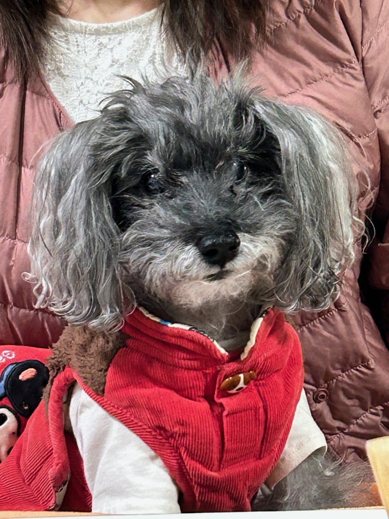 訪問ペット火葬 想花の写真