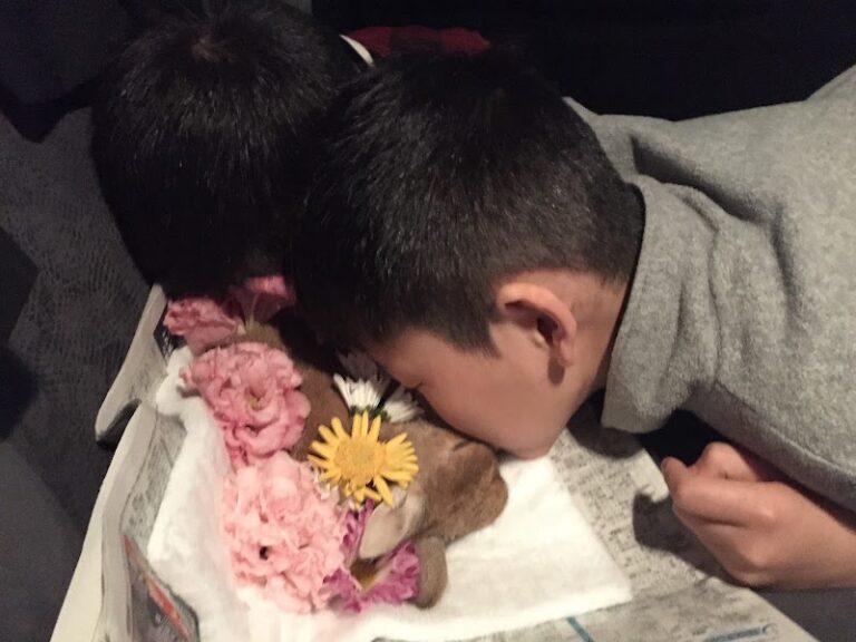 ほしあかりの写真