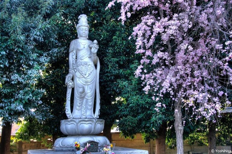 大泉寺の写真
