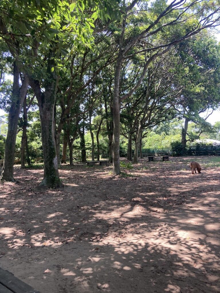 ペットメモリアルあさひの写真