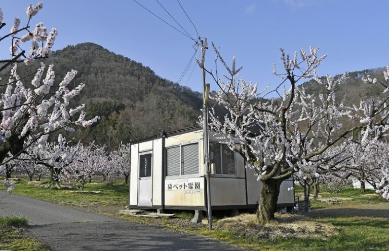 あんずの里森ペット霊園の写真