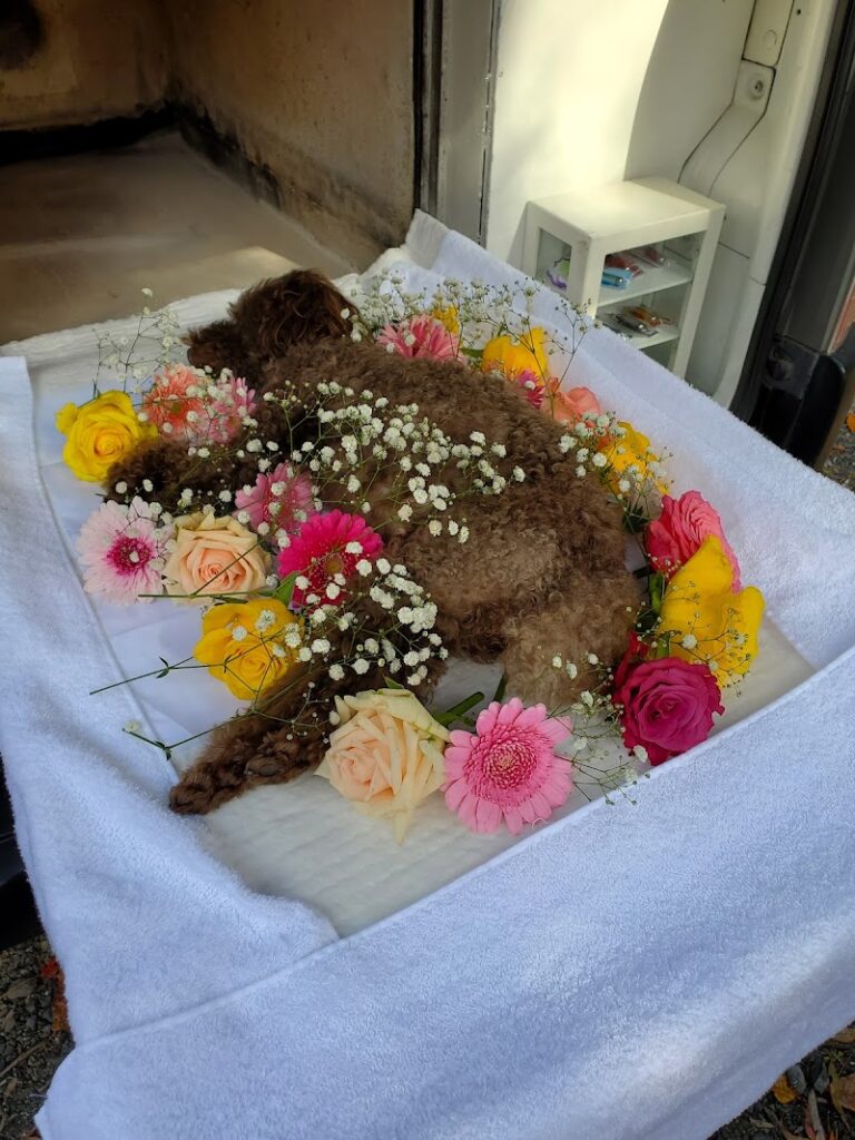 (株)メモリアルマインドの写真