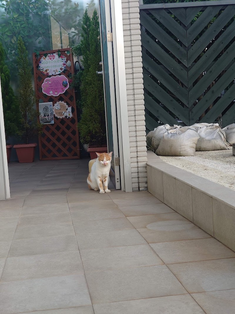 ステラミラ 行徳の写真