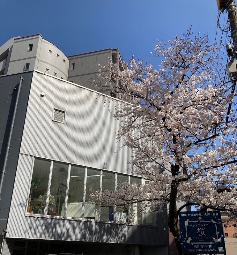 ペットセレモニー桜PREMIUMの写真