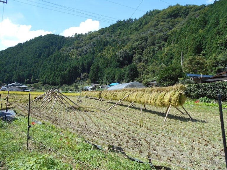 こどもの寺童楽寺の写真