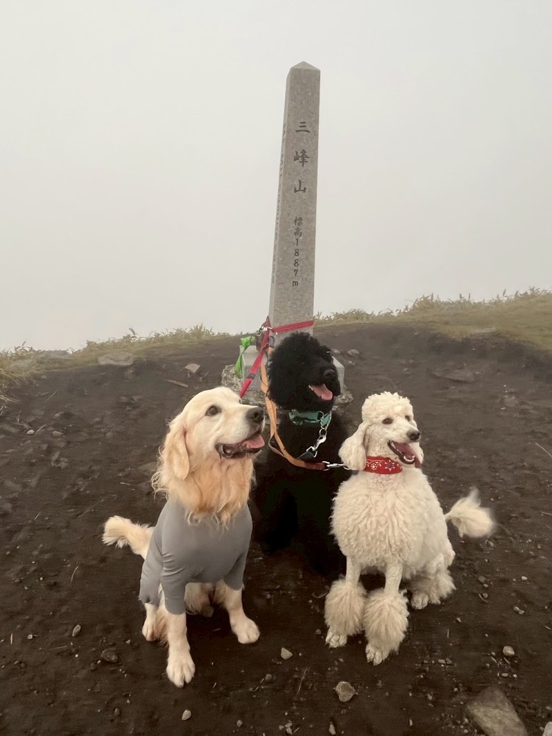 ペットメモリアル あんど・わんの写真