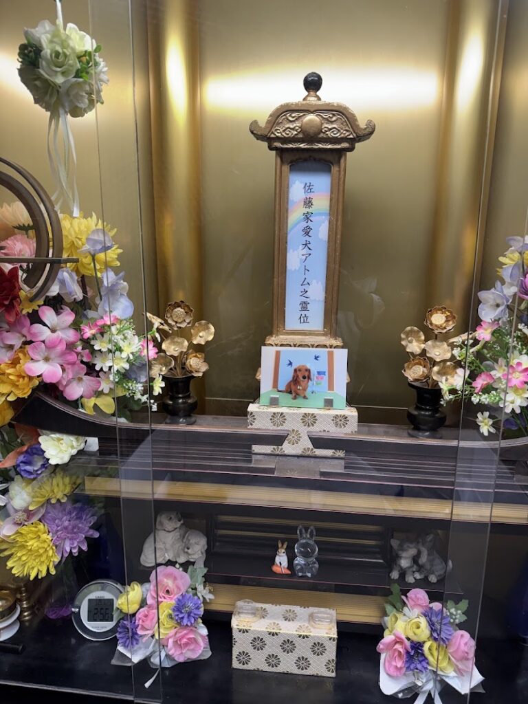 白峯寺動物愛護の会の写真