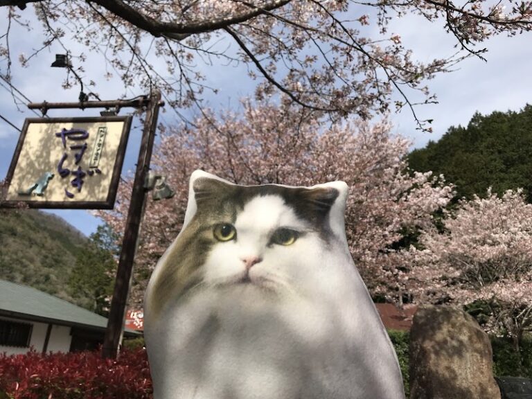 やすらぎペットセレモニーの写真