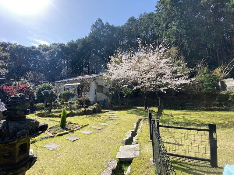 エムシステム（ハートデリバリー慧夢システム）の写真