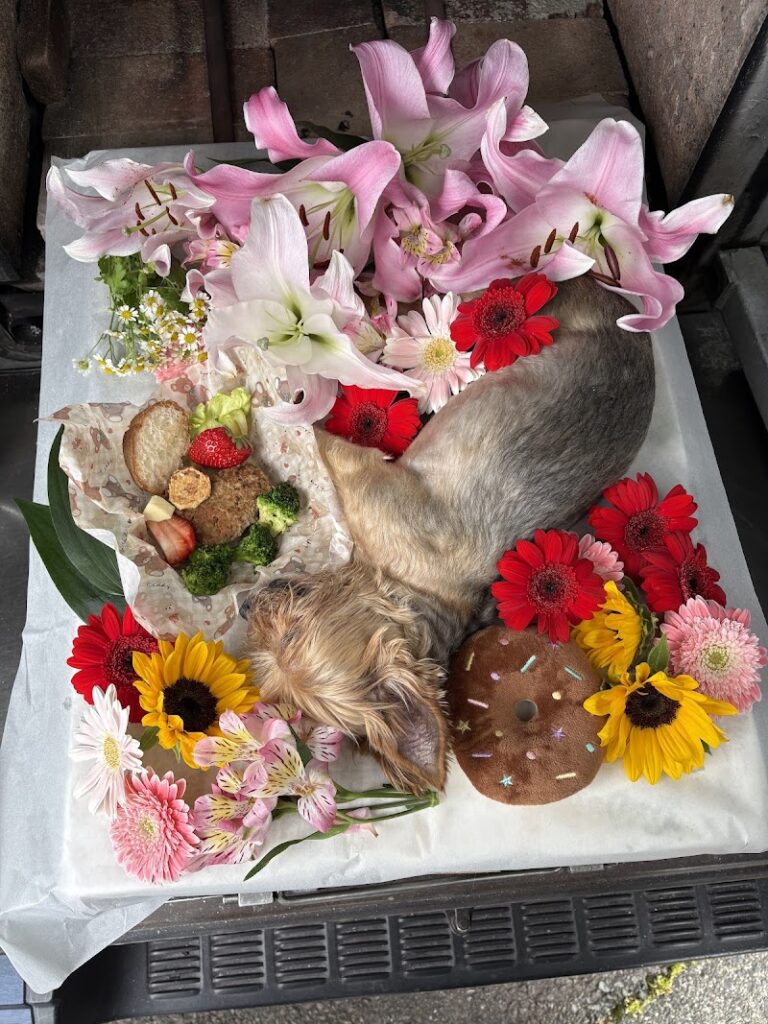 ペット訪問セレモニー東京の写真