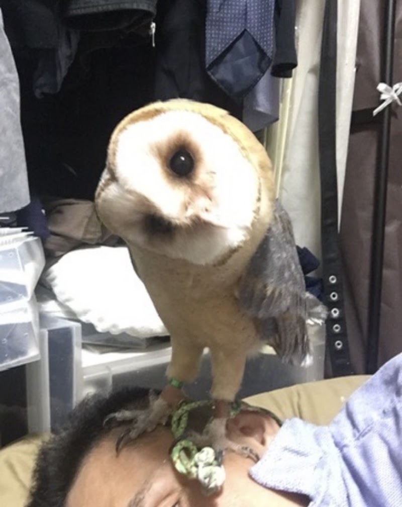 アニマルズセレモニー相模原店の写真