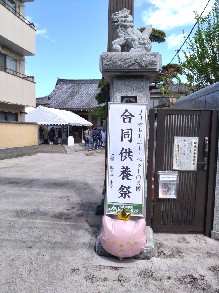 ペットの天国の写真