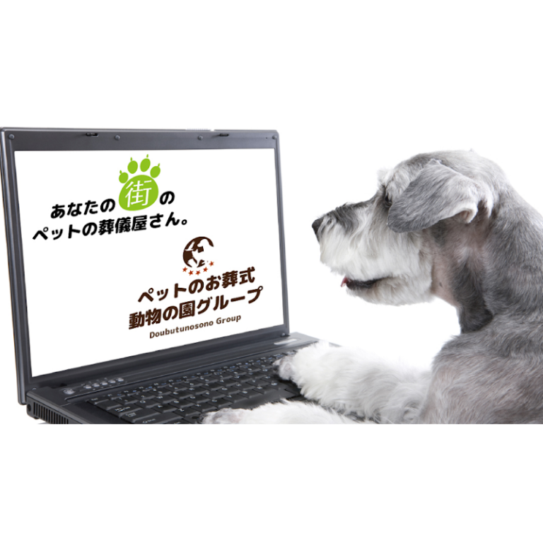 動物の園グループ 茨城の写真