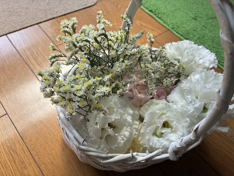 ちいさな家族にありがとう 虹の架け橋 ぷうの写真